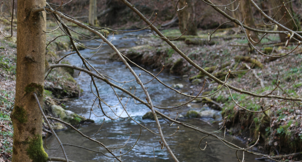 Post w Dolinie Racławki